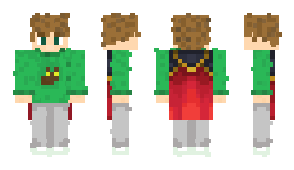 Minecraft skin foobison