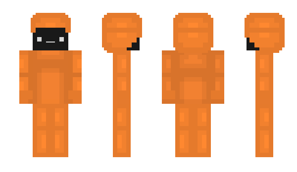 Minecraft skin PublicTransport