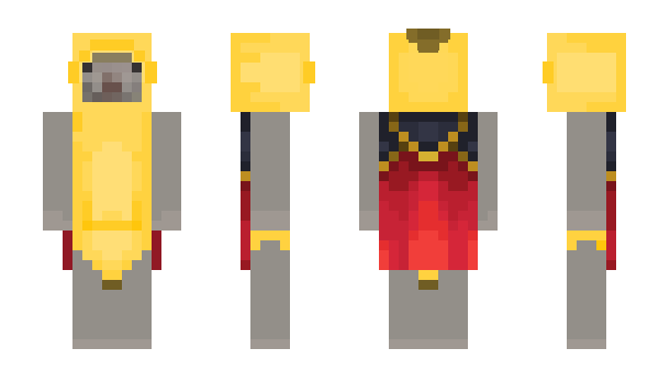 Minecraft skin negichie
