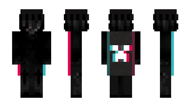 Minecraft skin 12Witches