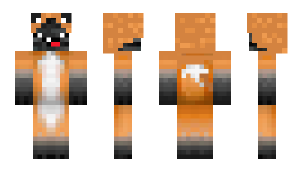 Minecraft skin Roooooobi