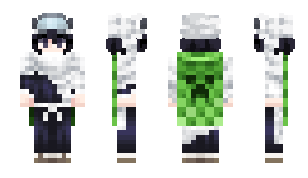 Minecraft skin HidingFromDrac