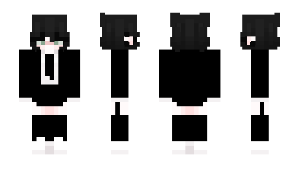 Minecraft skin vlinmlr