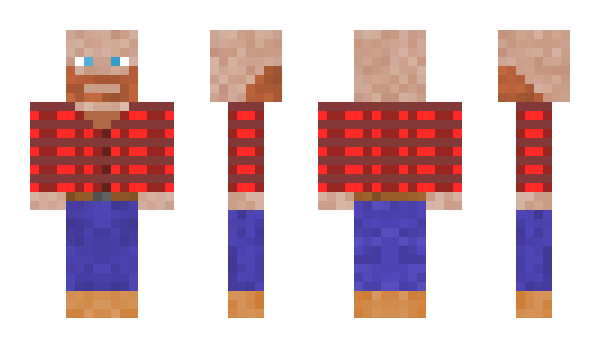 Minecraft skin Brackurny