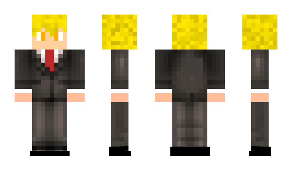 Minecraft skin Cwi