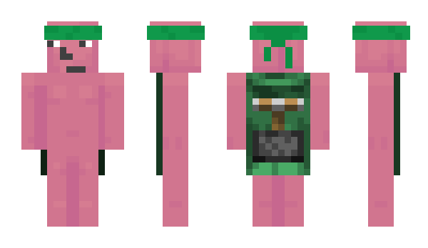 Minecraft skin BonkSalsa