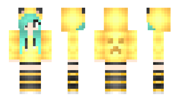 Minecraft skin CaCl2