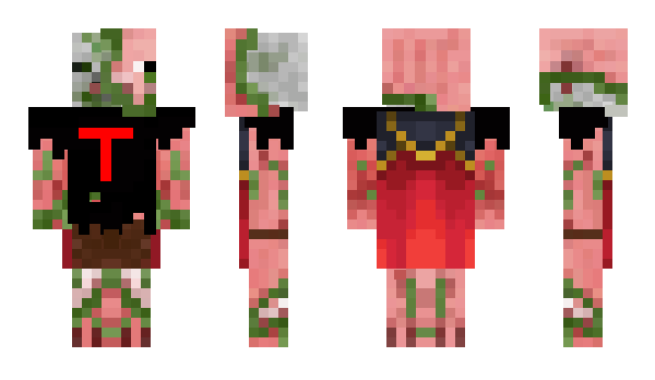 Minecraft skin TIMANI