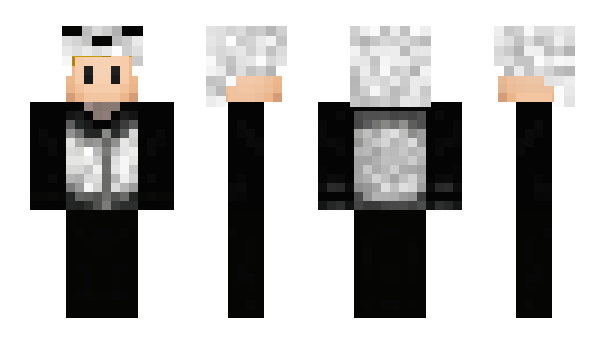 Minecraft skin xIVerium