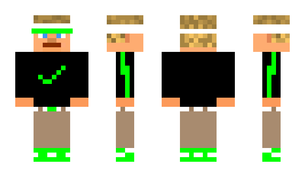 Minecraft skin CoachC