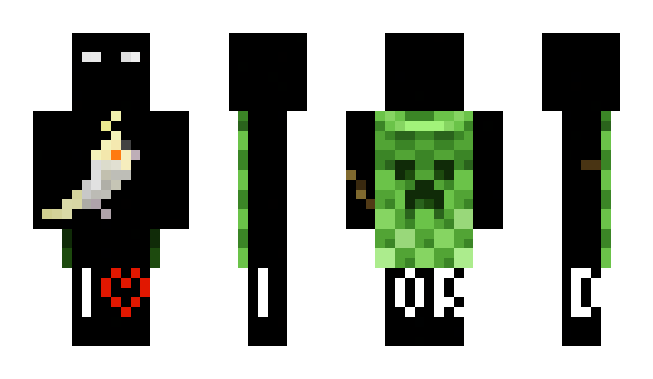 Minecraft скин по нику okruszka_felek