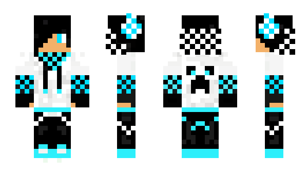 Minecraft skin vic_gokart