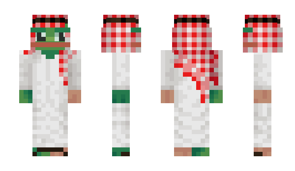 Minecraft skin tiktuk