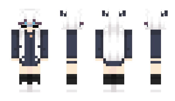 Minecraft skin vsits