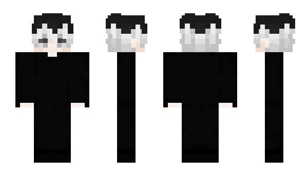 Minecraft skin Paristt