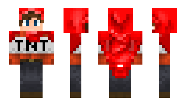 Minecraft skin Tag_