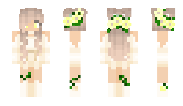 Minecraft skin elsala