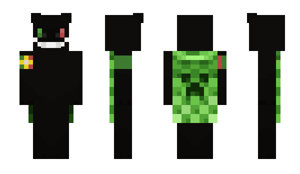 Minecraft skin LPKO