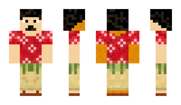 Minecraft skin Broomsage