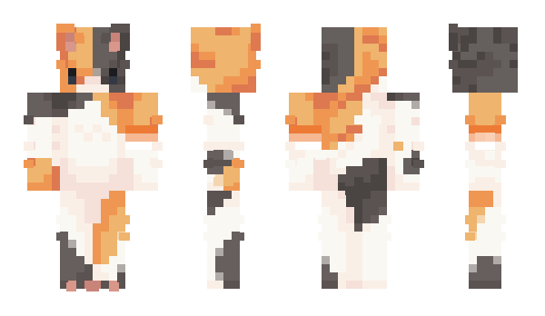 Minecraft skin Invincibe