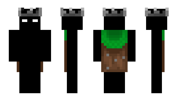 Minecraft скін по ніку Zduc2ler11