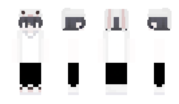 Minecraft skin T4PR