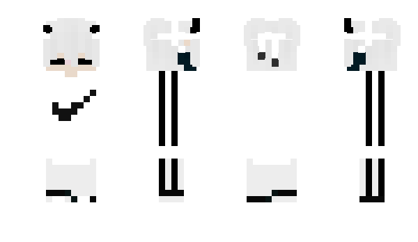 Minecraft skin SkullSanjay