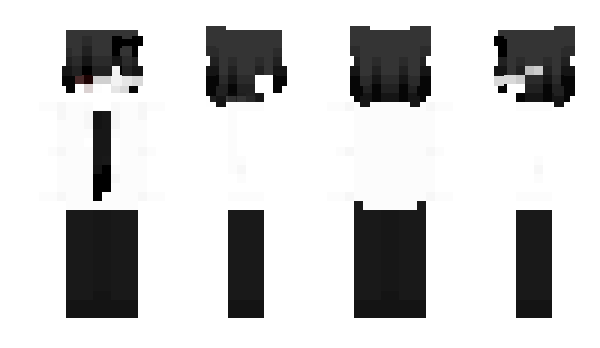 Minecraft skin Raphrin