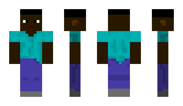 Minecraft skin Stenki