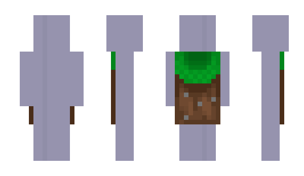 Minecraft skin _lilypad