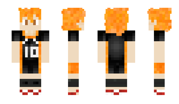 Minecraft skin POLDEMURS