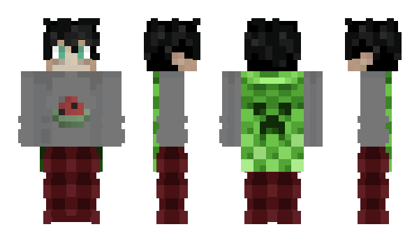 Minecraft skin Sobieski5566