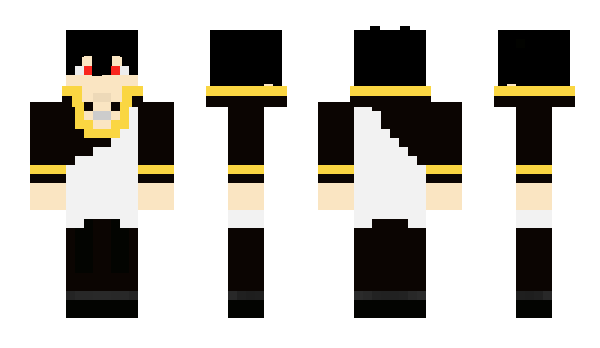 Minecraft skin Pictogram