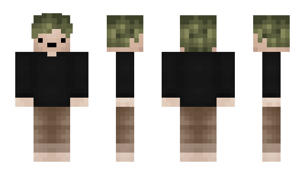 Minecraft skin Skse