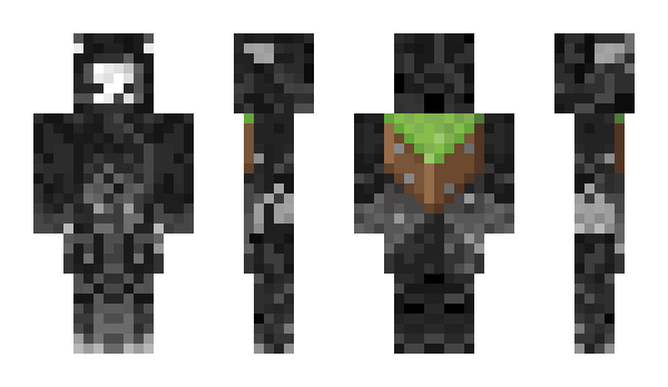Minecraft skin Niwari