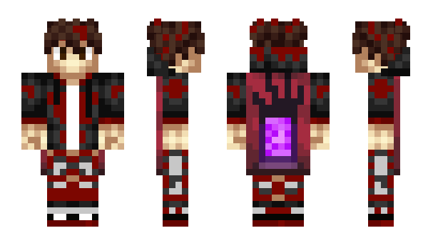 Minecraft skin BauHD