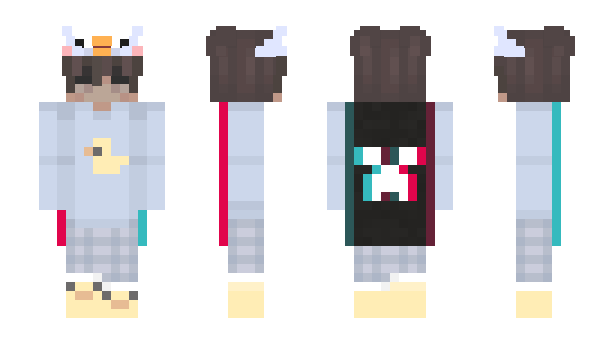 Minecraft skin owas