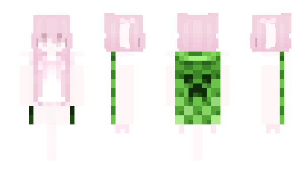 Minecraft skin Palta3