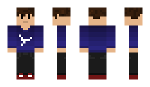 Minecraft skin dasding