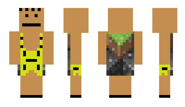 Minecraft skin helS