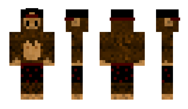 Minecraft skin Zanagiiie