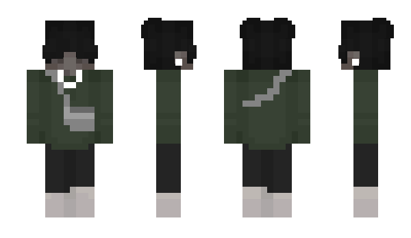 Minecraft skin weilong