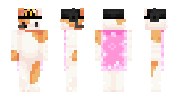 Minecraft skin pezgato