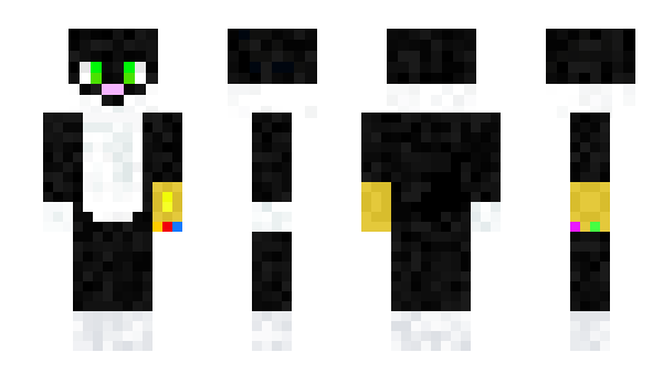 Minecraft skin Reyhell