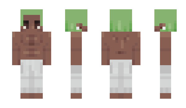 Minecraft skin epicstarrelyas