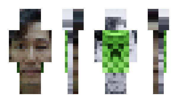 Minecraft скин по нику flatgrass