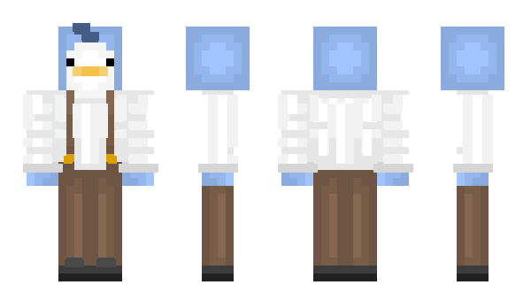 Minecraft skin Birbluji