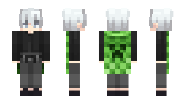 Minecraft skin aviu