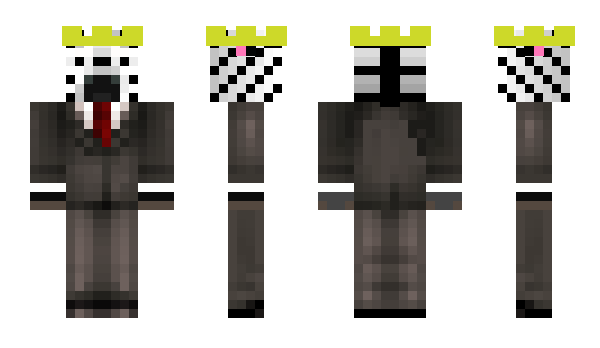 Minecraft skin ZEBRACAT