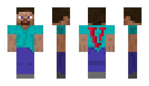 Minecraft skin VanityJ